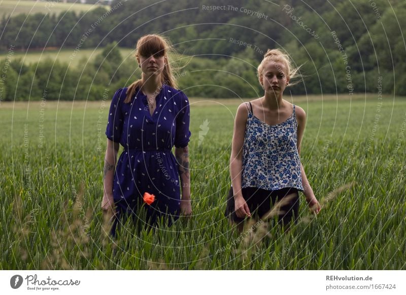 before the storm 2 Human being Feminine Young woman Youth (Young adults) Woman Adults 18 - 30 years Nature Landscape Bad weather Wind Field Dress Brunette