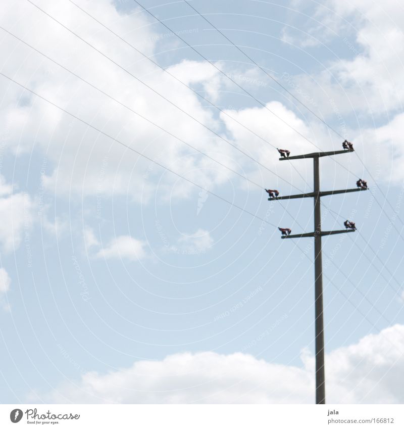 catenary Colour photo Exterior shot Deserted Day Technology Telecommunications Energy industry Sky Clouds Blue Electricity
