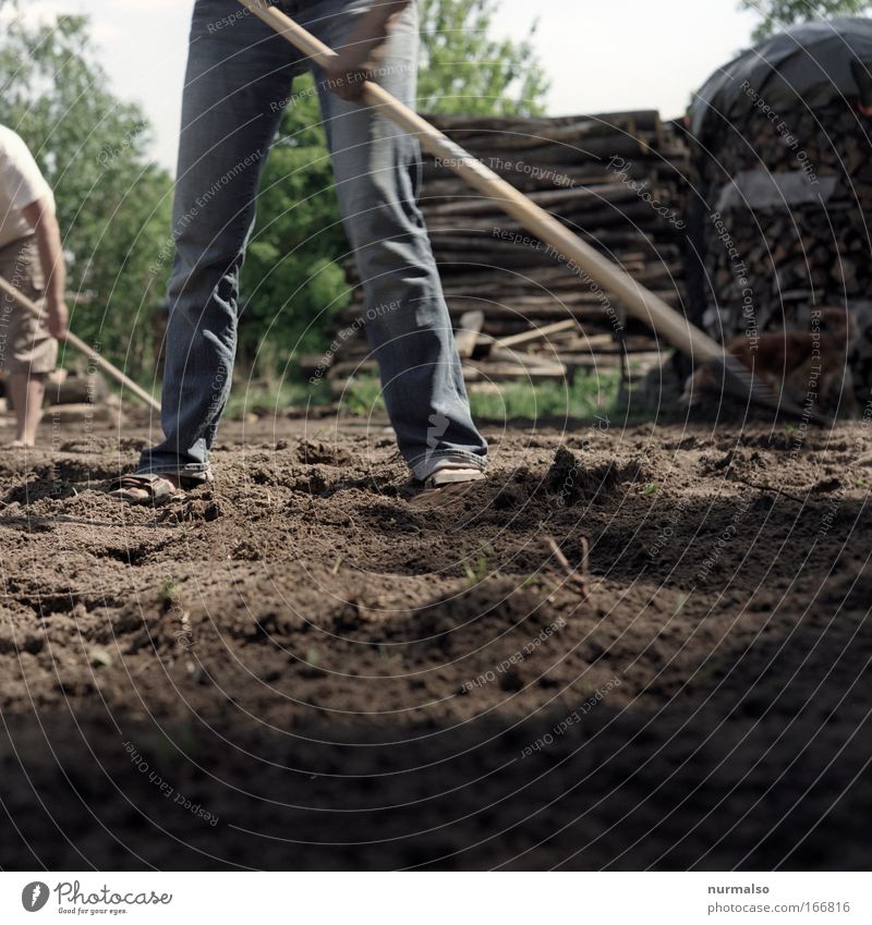 agriculture Colour photo Day Worm's-eye view Gardener Agriculture Forestry Rake Hoe Human being Arm Hand Legs Feet Nature Landscape Animal Earth Park Field
