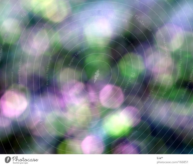 dreamed Colour photo Exterior shot Abstract Pattern Structures and shapes Deserted Light (Natural Phenomenon) Blur Spring Summer Dream Happiness Blue