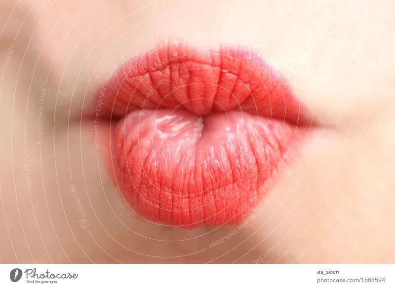 Just a kiss Lifestyle Beautiful Lipstick Senses Valentine's Day Wedding Feminine Mouth 1 Human being Kissing Cool (slang) Eroticism Happiness Bright