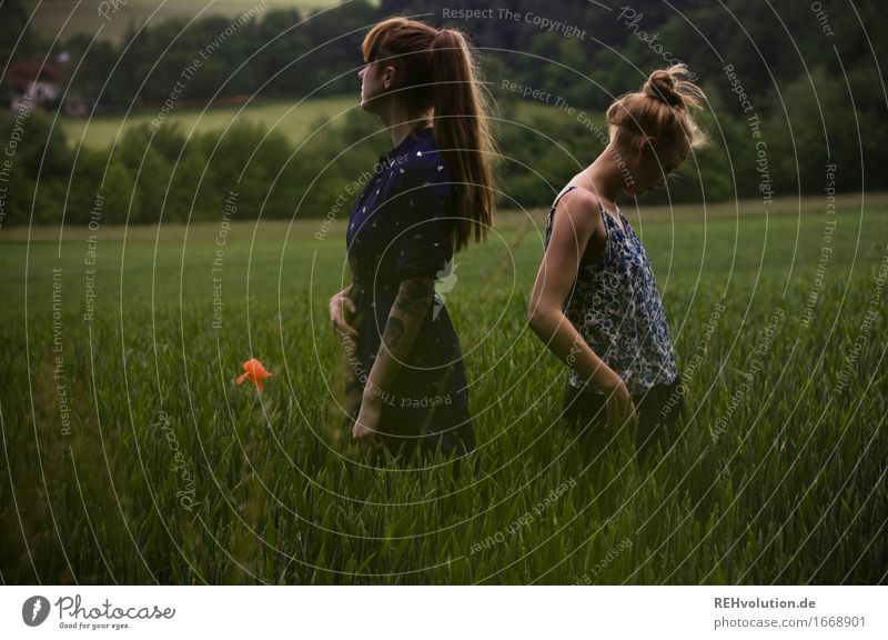 sidecut & undercut Human being Feminine Young woman Youth (Young adults) Woman Adults 2 18 - 30 years Environment Nature Landscape Summer Storm Wind Field Dress