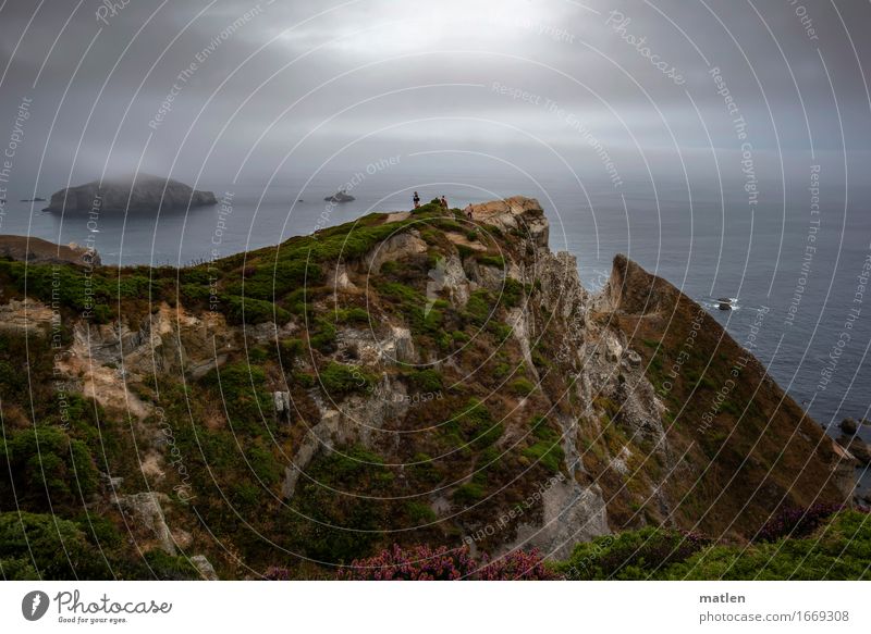 nebula Human being 5 Environment Nature Landscape Plant Water Sky Horizon Summer Weather Bad weather Fog Grass Bushes Wild plant Rock Canyon Coast Bay Reef
