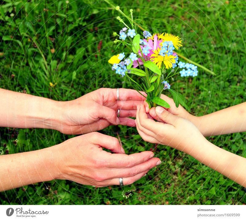 Hands give bouquet of flowers Happy Hair and hairstyles Face Reading Summer Sun Garden Mother's Day Child Girl Fingers Instant messaging Nature Plant Spring