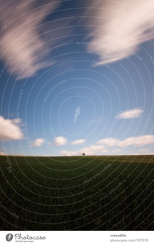 cloud fragments III Shadow Long exposure Deep depth of field Central perspective Wide angle Environment Nature Landscape Plant Air Clouds Horizon Spring Climate