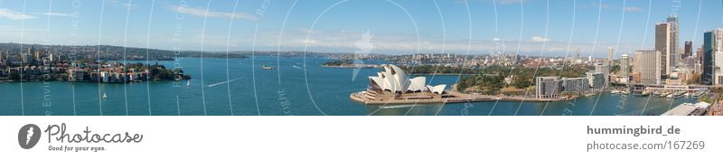 Sydney Panorama Colour photo Exterior shot Day Light Sunlight Bird's-eye view Long shot Panorama (View) Wide angle Looking Vacation & Travel Tourism