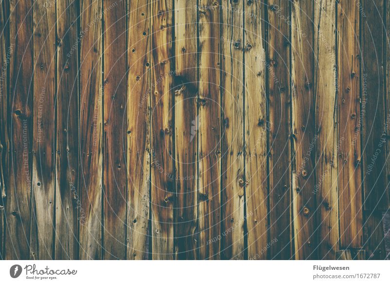 Wood background [2] Forest Logging trucks Wood effect Wooden board Chopping board Wooden wall Wall (building) Parquet floor Floor covering Beech tree Oak tree