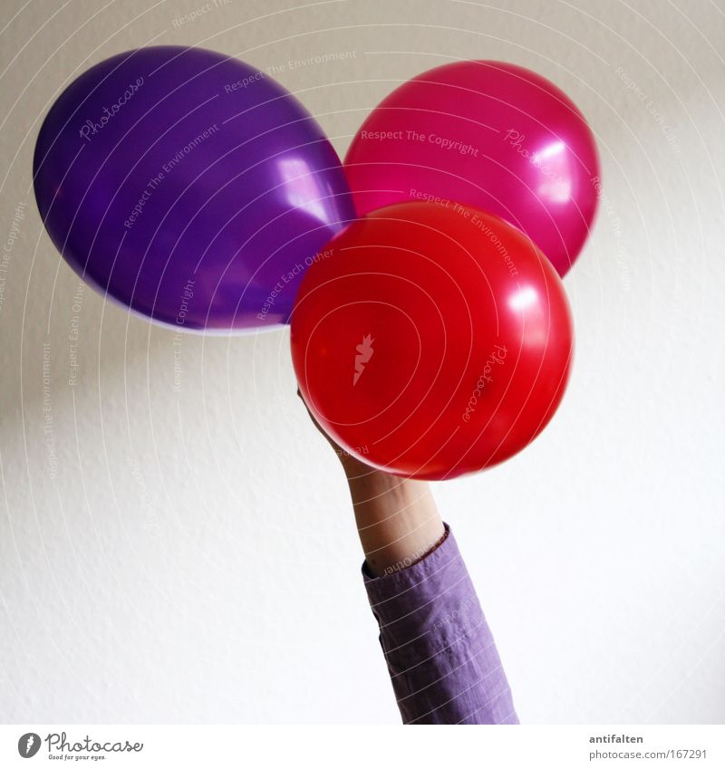 balloon holder Party Feasts & Celebrations Birthday Arm 1 Human being Balloon To hold on Round Multicoloured Violet Pink Red Colour photo Interior shot