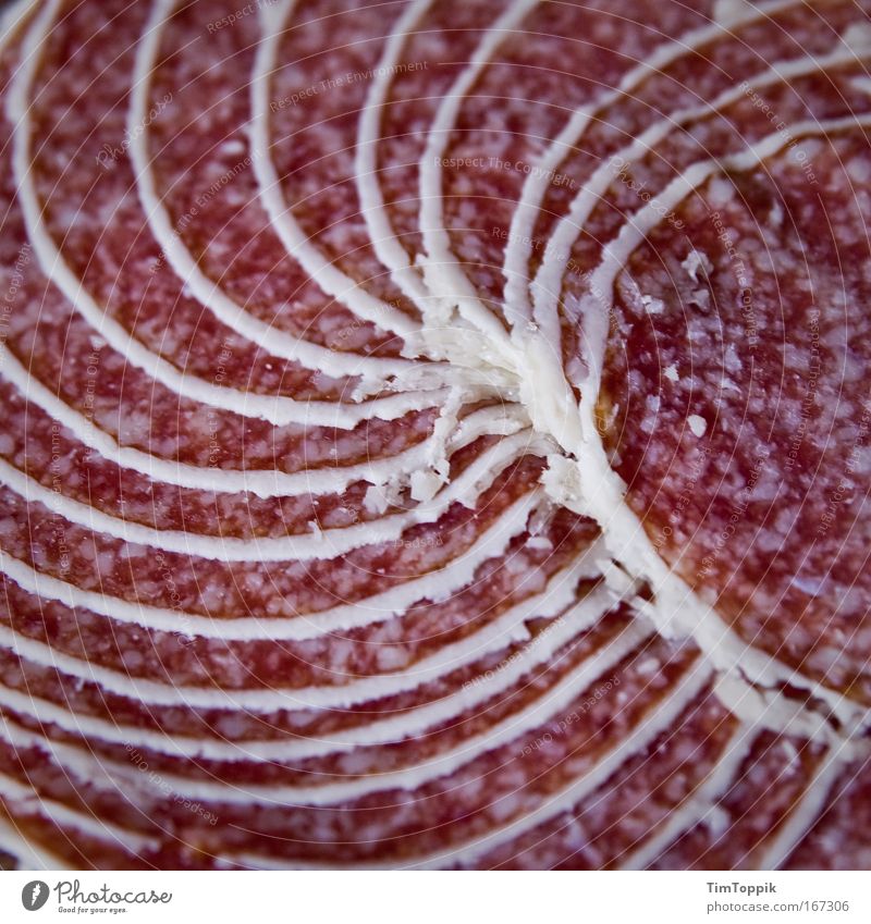 Great sausage #1 Macro (Extreme close-up) Deserted Bird's-eye view Food Meat Sausage Nutrition Fat Unhealthy Salami Spiral Winding staircase Carnivore Pork