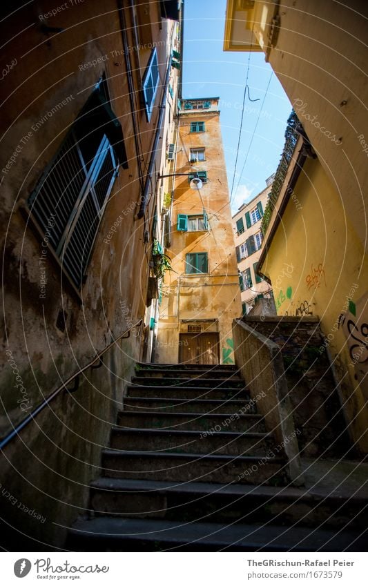 Genoa_Streets Town Downtown Old town House (Residential Structure) Blue Brown Yellow Gold Gray Orange White Stairs Window Shutter Genua Italy City trip