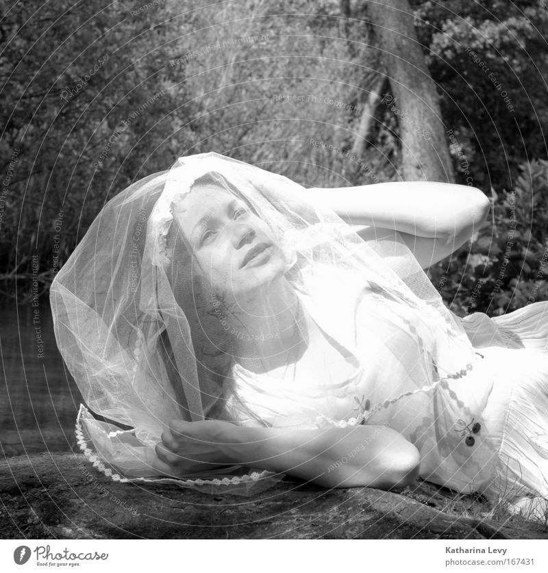 Bride of the forrest Black & white photo Exterior shot Structures and shapes Copy Space top Day Light Sunlight Central perspective Portrait photograph