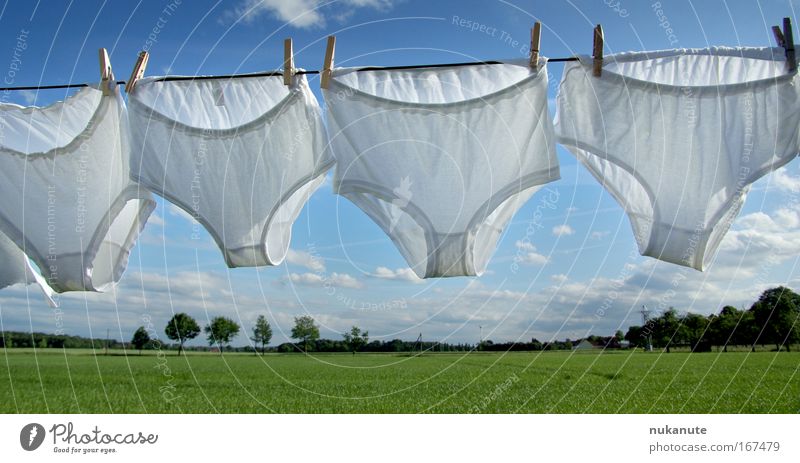 Washing day in the country Colour photo Exterior shot Deserted Day Sunlight Environment Nature Landscape Sky Clouds Summer Beautiful weather Tree Grass Meadow
