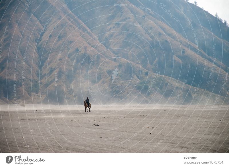 Lonely Rider Exotic Calm Vacation & Travel Trip Adventure Far-off places Freedom 1 Human being Nature Landscape Earth Sand Mountain Volcano Island Indonesia