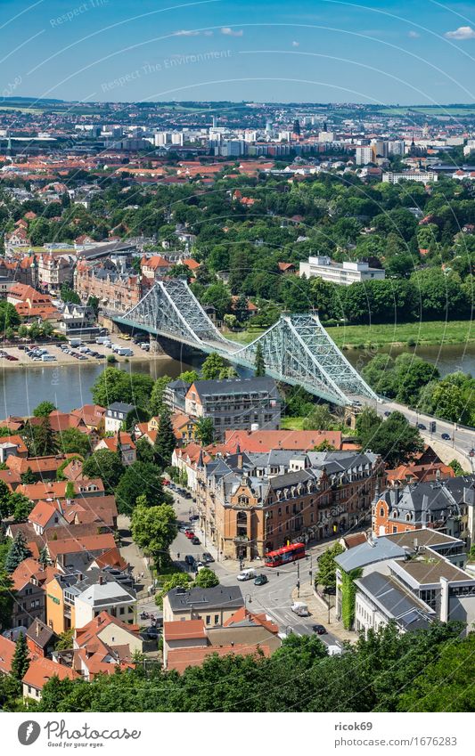 View over the Elbe to Dresden Vacation & Travel Tourism House (Residential Structure) Clouds Tree Park River Capital city Bridge Building Architecture