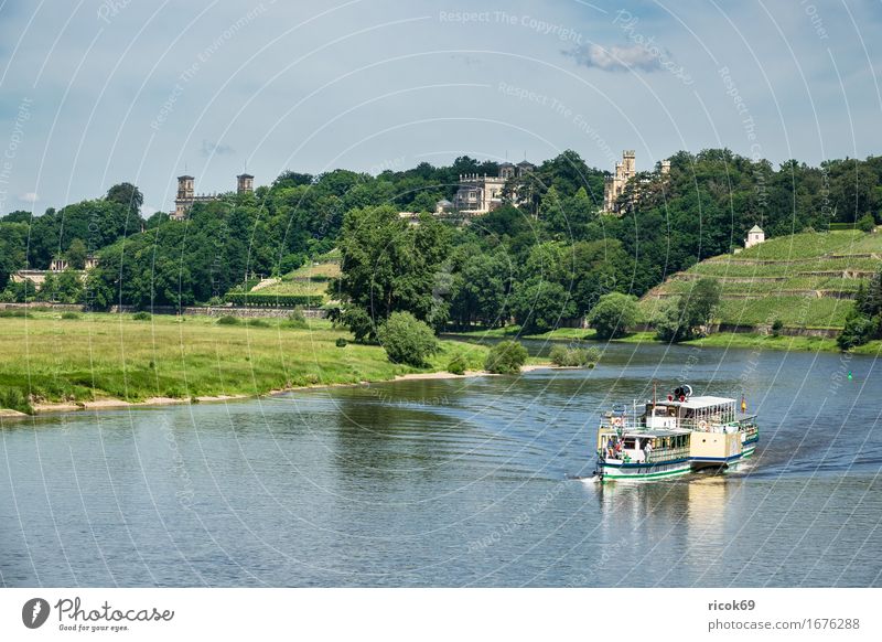 Passenger ship on the Elbe near Dresden Vacation & Travel Tourism Water Clouds Tree River Capital city Architecture Tourist Attraction Steamer Blue Green Nature