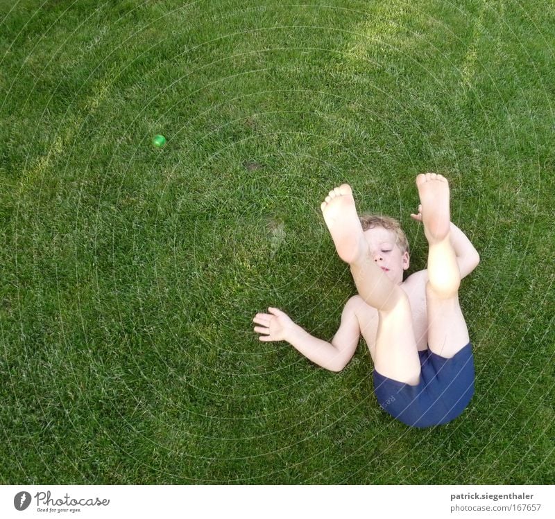 somersault in the English lawn Colour photo Multicoloured Exterior shot Copy Space left Copy Space top Day Bird's-eye view Full-length Closed eyes Playing