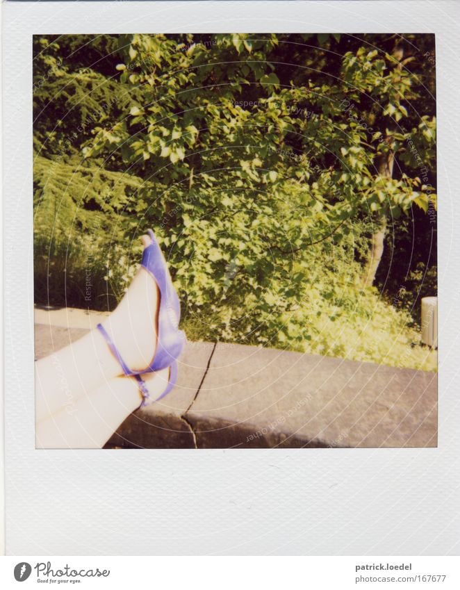 damsel of the castle Colour photo Exterior shot Detail Polaroid Copy Space bottom Day Contrast Relaxation Feminine Woman Adults Legs Feet 1 Human being Nature