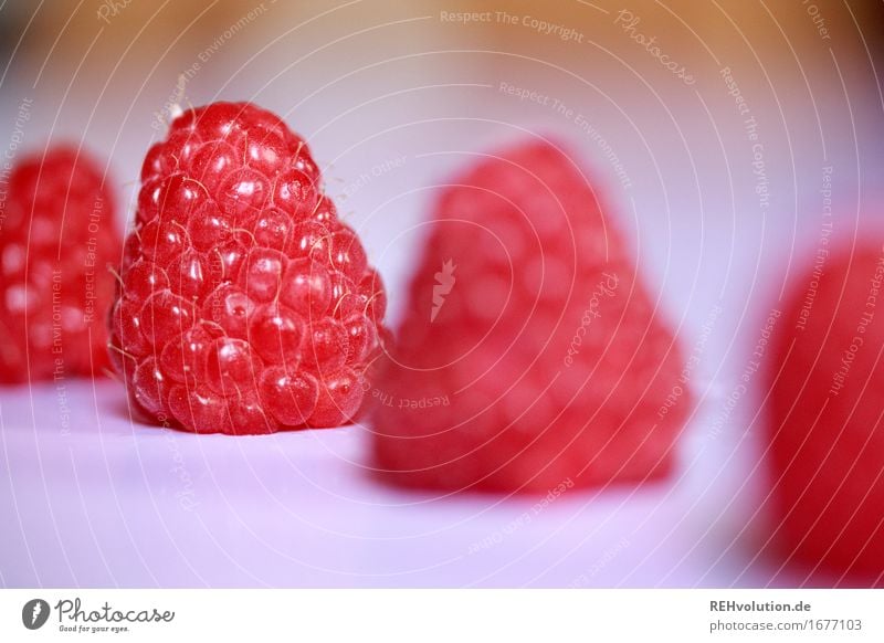 raspberry Food Fruit Nutrition Healthy Healthy Eating To enjoy Delicious Red Raspberry Berries Fruity Summer Sense of taste Colour photo Interior shot Close-up