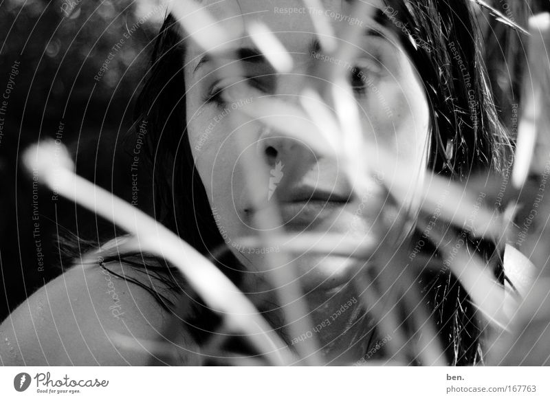 lavender Black & white photo Exterior shot Blur Looking into the camera Exotic Face Harmonious Senses Fragrance Human being Young woman Youth (Young adults)