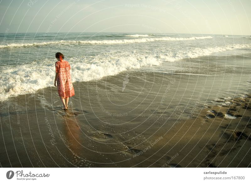 Colour photo Exterior shot Dawn Feminine Woman Adults Sand Waves Coast Beach Healthy Vacation & Travel Ocean Marbella Spain