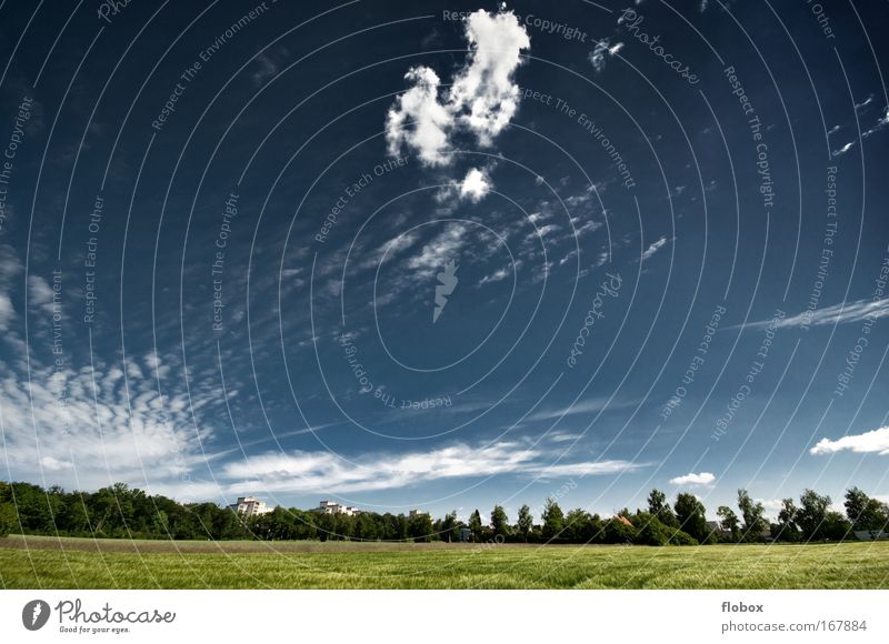 suburb Summer Hiking Environment Nature Landscape Plant Sky Clouds Climate change Meadow Field Forest Large Blue Green Loneliness Idyll Environmental protection