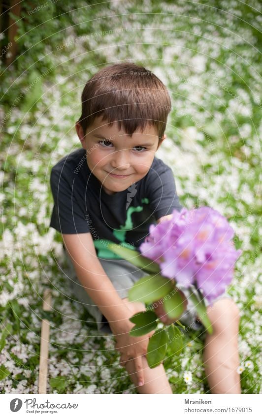 blossoms Child Toddler Boy (child) Brother Infancy 1 Human being 3 - 8 years Nature Spring Blossom Joy Happy Happiness Warm-heartedness Sympathy Friendship