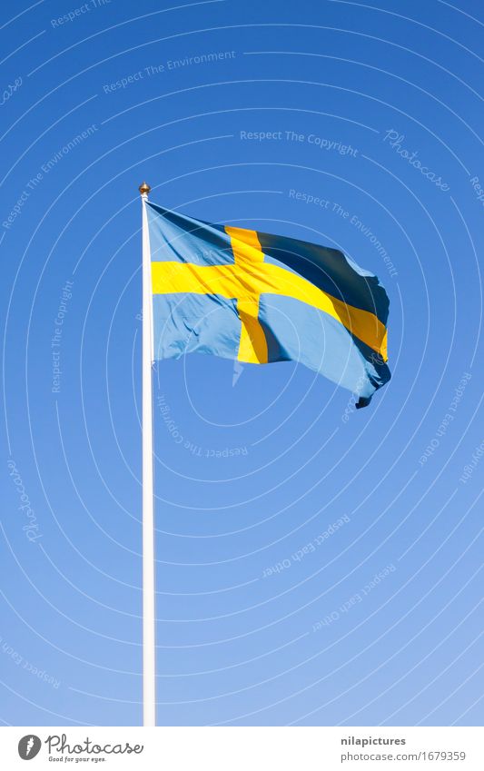 Swedish flag Lifestyle Vacation & Travel Tourism Trip Freedom Sightseeing City trip Summer Summer vacation Sun Wind Town Capital city Downtown Populated