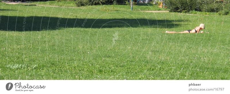 Prone position in the Herrngarten Woman Reading Bikini Darmstadt Park Green Plant Grass Meadow Light Free space Hat master garden Nature Lawn Relaxation Sun