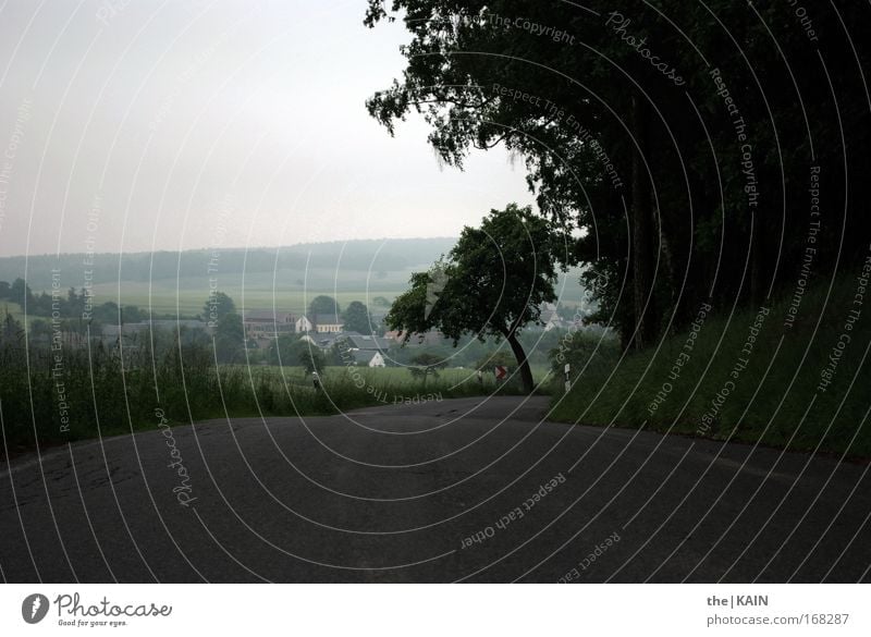 Open Road Colour photo Exterior shot Experimental Deserted Copy Space bottom Neutral Background Silhouette Light (Natural Phenomenon) Shallow depth of field