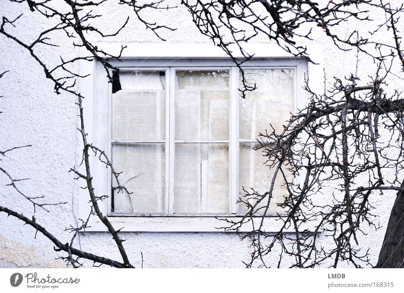 **given up** Black & white photo Exterior shot Deserted Copy Space middle Day Contrast House (Residential Structure) Hut Window Old Poverty White Sadness Grief