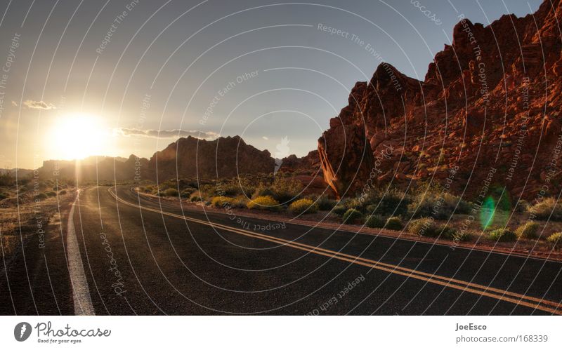 on the road again Colour photo Exterior shot Deserted Copy Space left Copy Space top Copy Space bottom Twilight Light Shadow Contrast Silhouette Sunlight