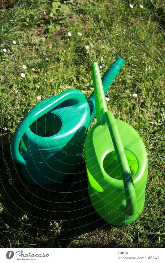 Green watering cans Colour photo Exterior shot Garden Watering can Plastic Lust Grass surface Meadow Day