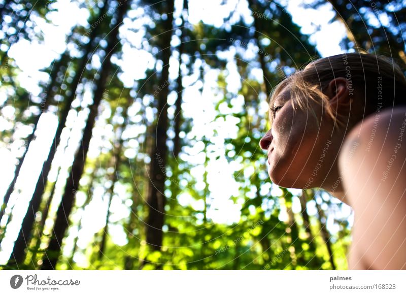 forest face Human being Feminine Young woman Youth (Young adults) Head 1 18 - 30 years Adults Environment Nature Animal Sun Sunlight Spring Summer Tree Leaf