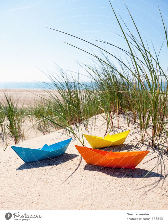 summertime Lifestyle Playing Handicraft Vacation & Travel Summer vacation Beach Ocean Sand Cloudless sky Sun Beautiful weather Grass North Sea Baltic Sea