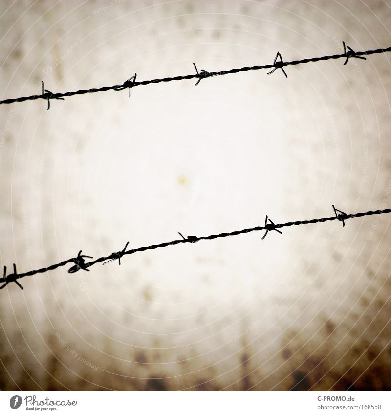 barbed wire Colour photo Exterior shot Deserted Copy Space bottom Copy Space middle Silhouette Deep depth of field Wall (barrier) Wall (building) Stone Steel
