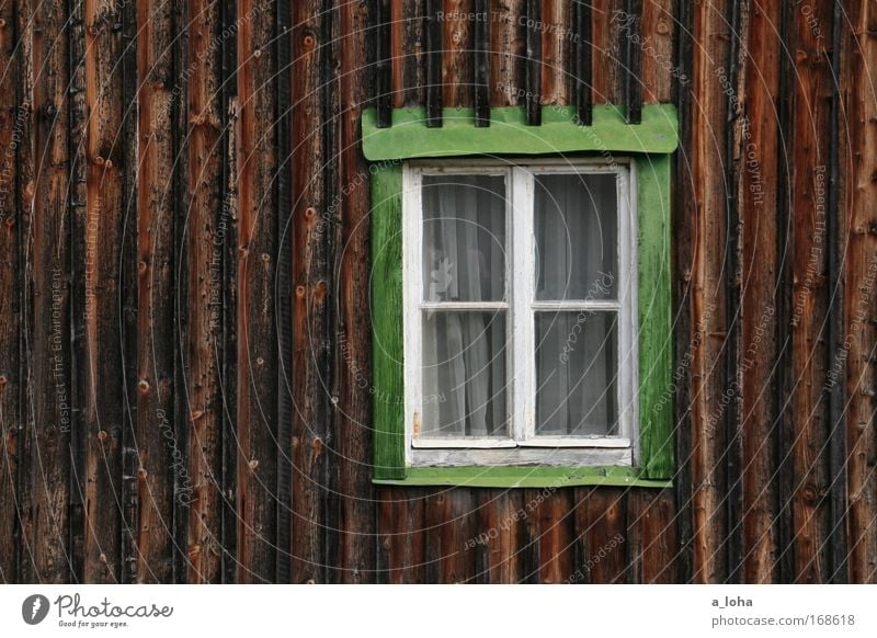 Somewhere in nowhere Summer Craftsperson Deserted House (Residential Structure) Wall (barrier) Wall (building) Window Wood Glass Line Stripe Living or residing