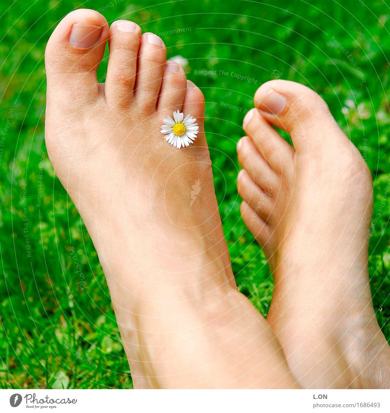 daisies Beautiful Body Healthy Wellness Harmonious Well-being Contentment Senses Relaxation Calm Meditation Summer Human being Feminine Young woman
