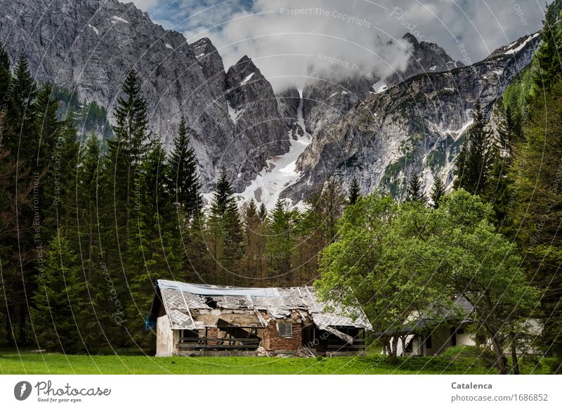 Abandoned home, ruined house against mountain backdrop Vacation & Travel Mountain Alpine hut Hiking Landscape Plant Clouds Summer Bad weather Snow Tree Grass