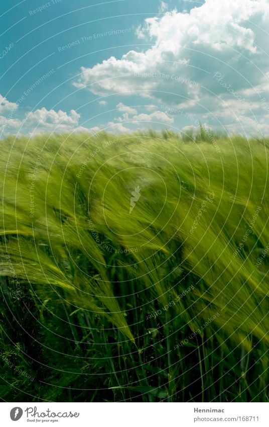 Wind window II. Colour photo Multicoloured Exterior shot Day Sunlight Sunbeam Motion blur Wide angle Vacation & Travel Tourism Freedom Summer Gardening