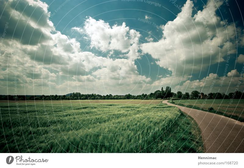 Windmillland. Colour photo Subdued colour Multicoloured Exterior shot Deserted Sunlight Panorama (View) Wide angle Vacation & Travel Trip Far-off places Freedom