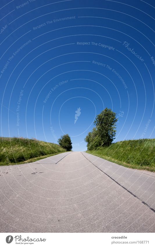 dirt road Colour photo Exterior shot Deserted Sunlight Deep depth of field Central perspective Wide angle Agriculture Environment Nature Landscape Plant Earth