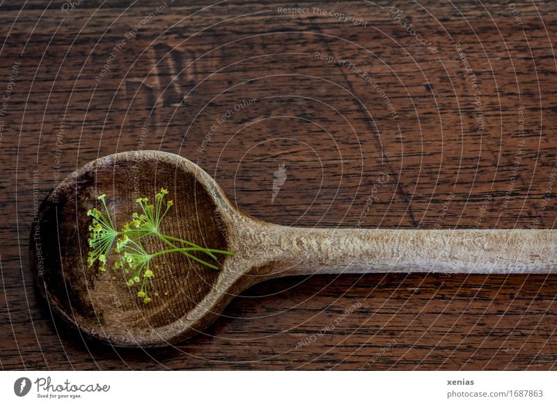Cooking spoon with dill flowers lies on a wooden base Wooden spoon Dill blossom Herbs and spices Eating Spoon Kitchen Brown Yellow Green Wood grain