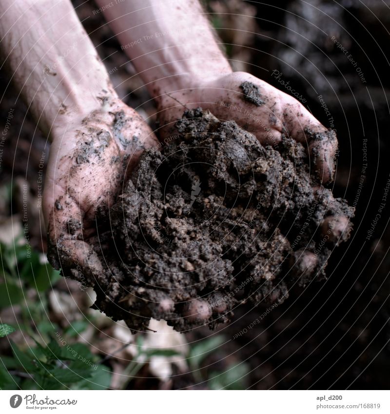 topsoil Colour photo Exterior shot Detail Day Shallow depth of field Central perspective Human being Masculine Hand 1 Environment Nature Earth Plant Grass