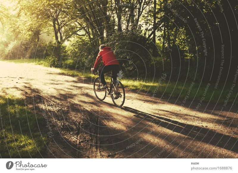 straight ahead Lifestyle Leisure and hobbies Trip Cycling tour Summer Bicycle Human being Masculine Young man Youth (Young adults) Adults Environment Nature