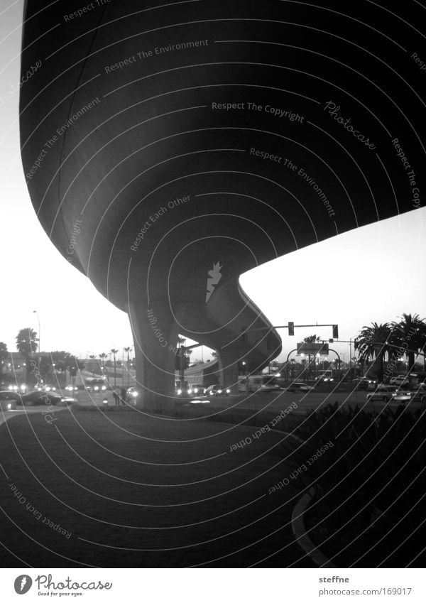 black tube Black & white photo Exterior shot Copy Space top Copy Space bottom Twilight Light Shadow Contrast San Diego USA Road traffic Motoring Street Highway