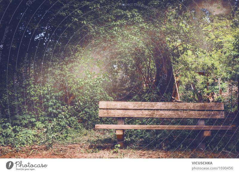 Old wooden bench in the park Lifestyle Garden Furniture Nature Summer Autumn Beautiful weather Tree Bushes Park Design bare old Vintage Underground bench Forest