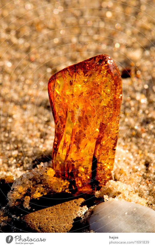 Amber at the Baltic Sea beach Alternative medicine Medication Beach Sand Stone Old Illuminate Yellow find Resin Brilliant Precious stone semi-precious stone