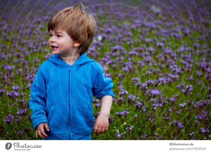 high sleeves Human being Masculine Child Toddler Boy (child) 1 1 - 3 years Environment Nature Flower Meadow Field Sweater Observe Stand Wait Friendliness