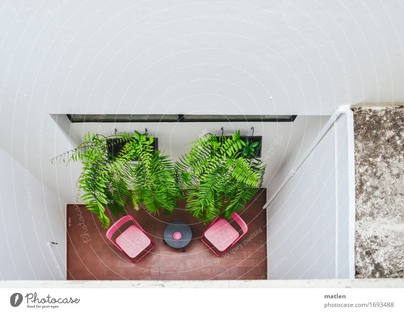 balkonies Town Wall (barrier) Wall (building) Facade Balcony Terrace Window Sharp-edged Green Red White Chair Table Artificial flowers Narrow Interior courtyard
