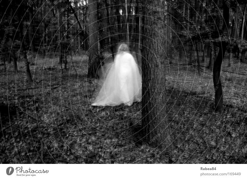 Holla the forest fairy Black & white photo Exterior shot Twilight Long exposure Motion blur Feminine 1 Human being Nature Tree Forest Discover Esthetic